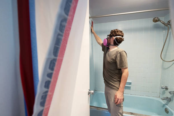 Best Water Damage & Mold Remediation  in Daniel, UT