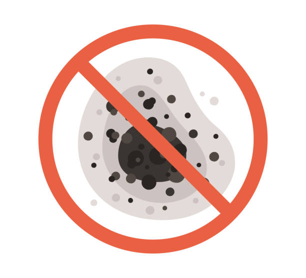 Best Mold Damage Restoration  in Daniel, UT