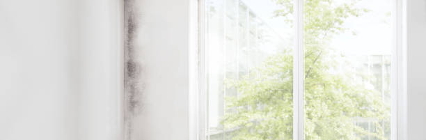 Best Indoor Air Quality Assessment  in Daniel, UT
